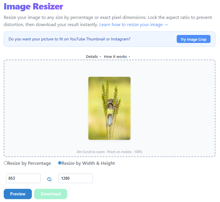 Upload image