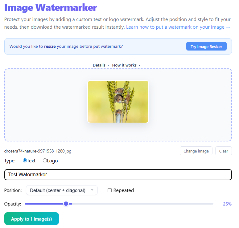Set watermark options